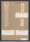 Navicula columnaris Ehr. (de-Toni-Nr.: Genus 1, Species 686) Zeichnungen Sammlung Grunow Nr. 1267 (NHMW-BOT-W0367921)